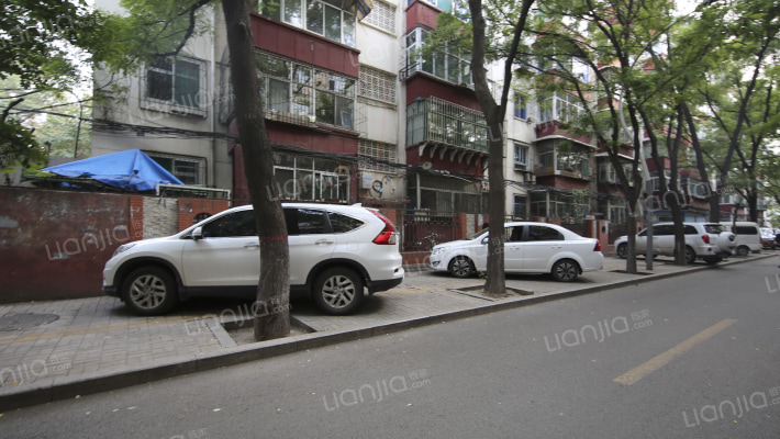 37中宿舍外景图