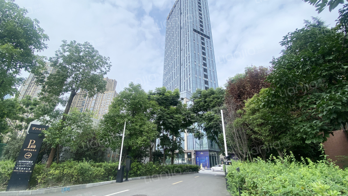 望江名门外景图