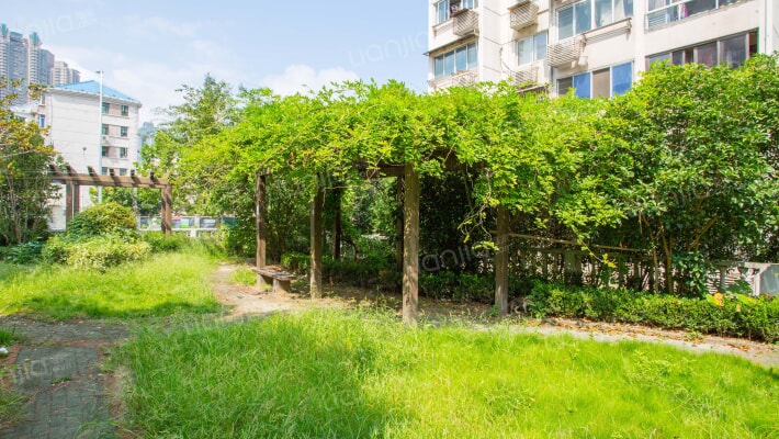 朱家滩小区外景图