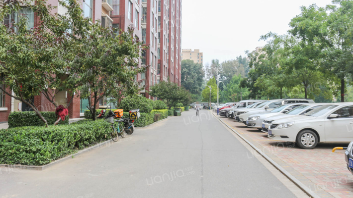 臻观苑A区外景图