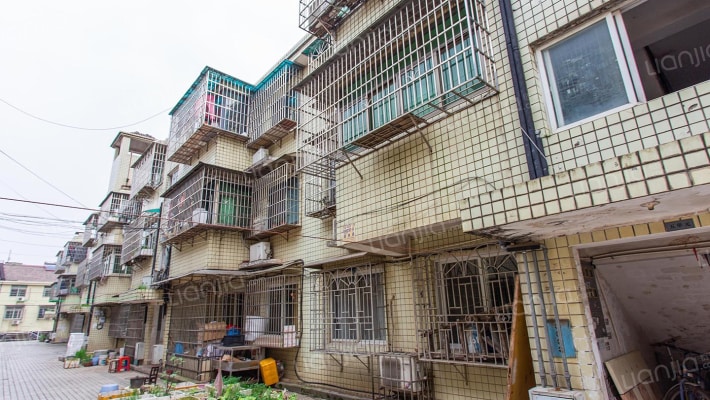 雷锋农产品批发大市场外景图