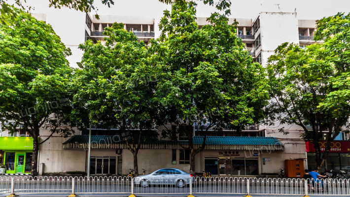 迎晖公寓外景图