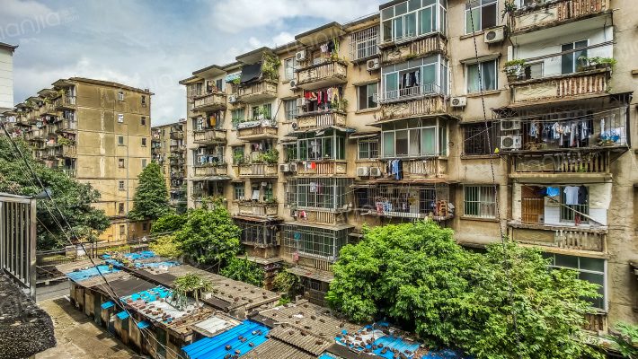 赖氨酸厂生活区外景图