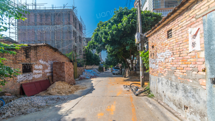 独树根西路五巷24号外景图