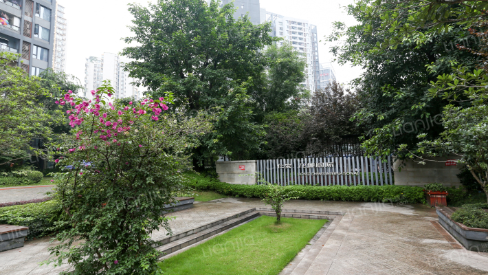 仁安龙城国际一期外景图