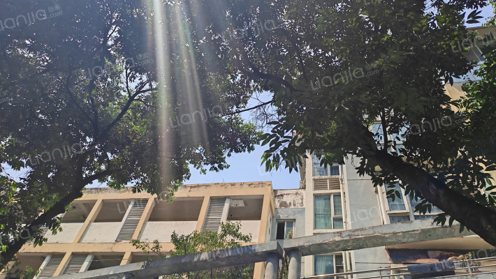 驿生路50号外景图