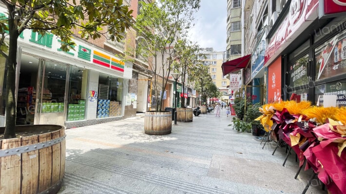 新民路商业步行街A苑外景图