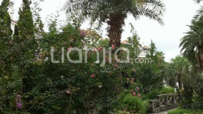 美丽华花园(别墅)外景图