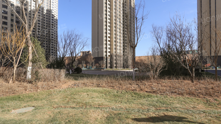 富力城八号园东园外景图