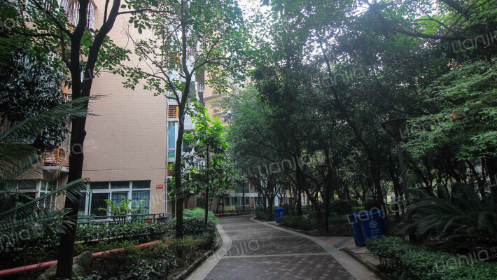 强辉琉璃阳光外景图