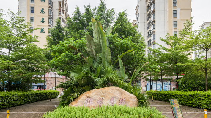 锦龙名苑外景图