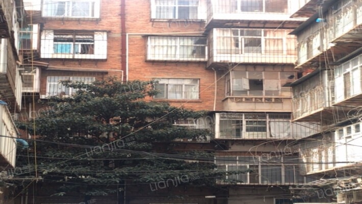 石桥铺28号外景图