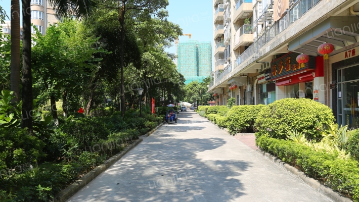 顺丰翠园外景图