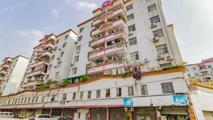 金碧苑(望牛墩镇)外景图