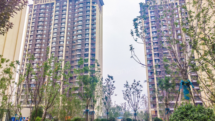 明湖风景外景图