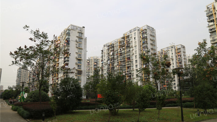 新江花园外景图