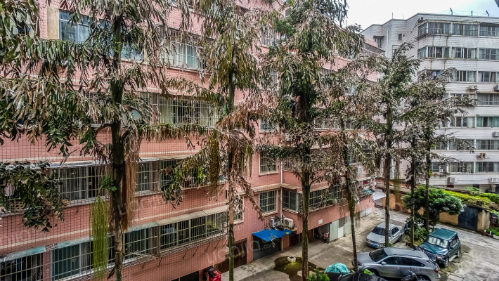 壮宁沙石公司职工住宅楼外景图