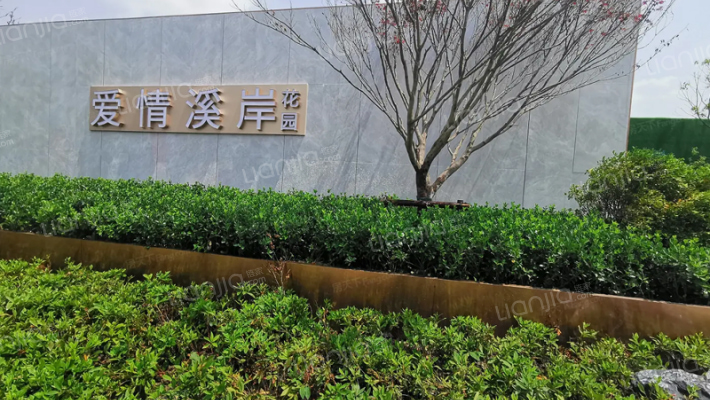 爱情溪岸外景图