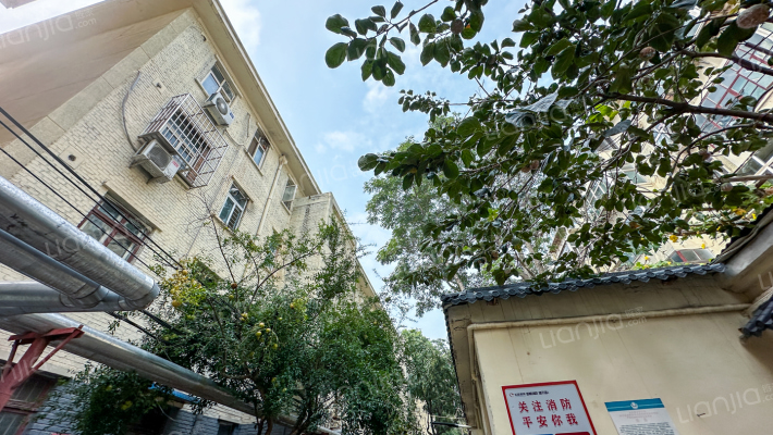 印刷厂家属楼外景图