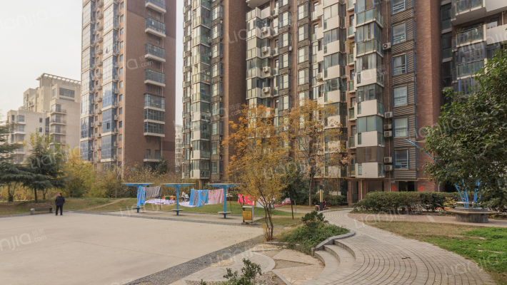 非常国际外景图