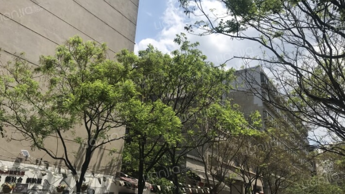 新闻南路65号外景图