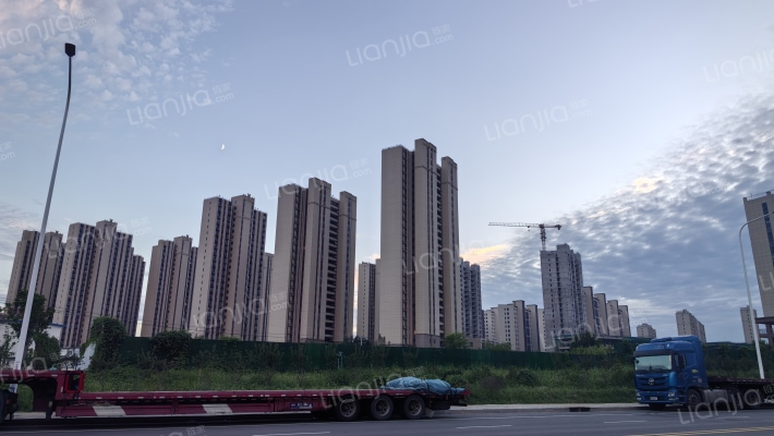 问道颐养城外景图