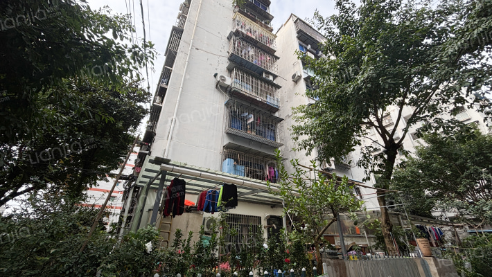 双凤路一巷5号外景图