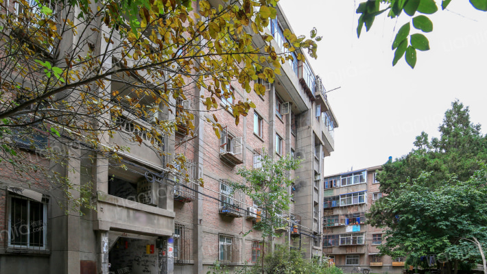 甘肃省金属公司家属院外景图