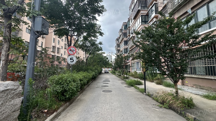 铜山第一水泥厂宿舍外景图