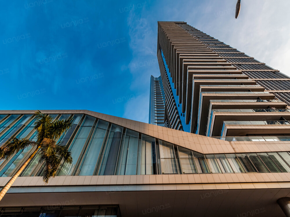 深圳湾1号图片相册