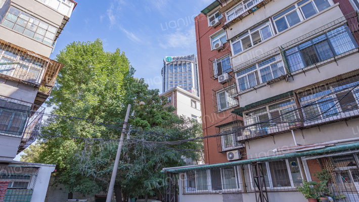 紫金山路外景图