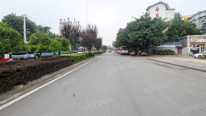 今日花园外景图