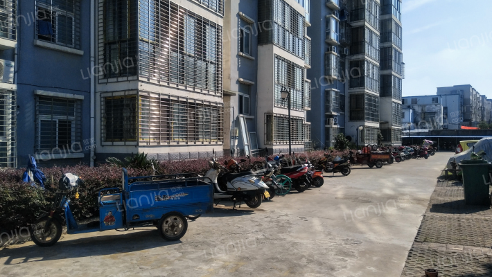 庞公春晓外景图