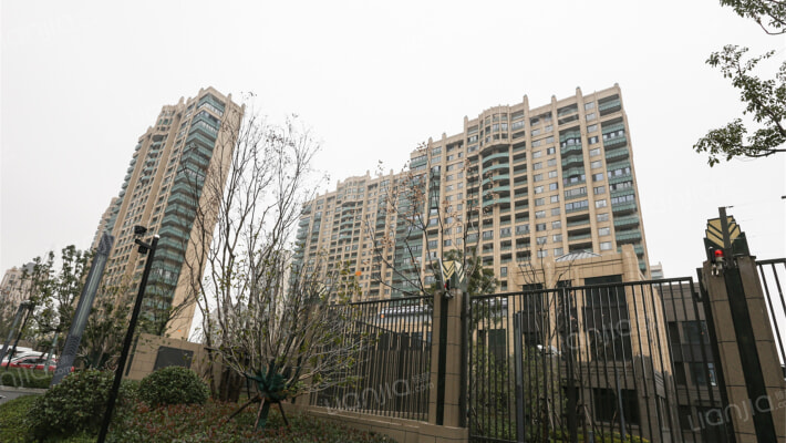 同进君望外景图