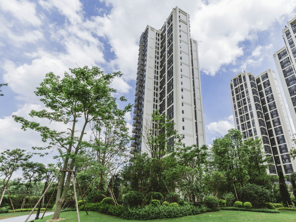 实地常春藤相册