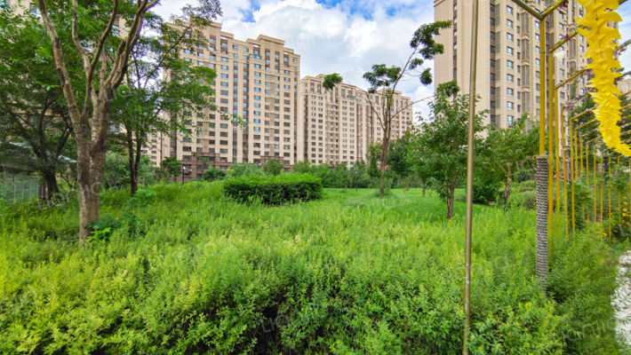 中海兰庭外景图