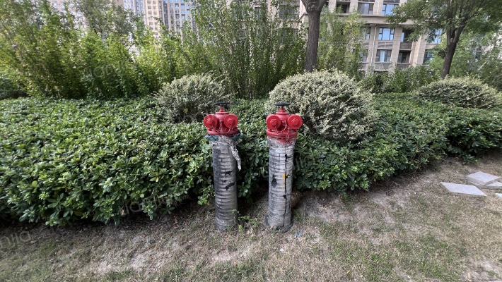 荣盛花语水岸外景图