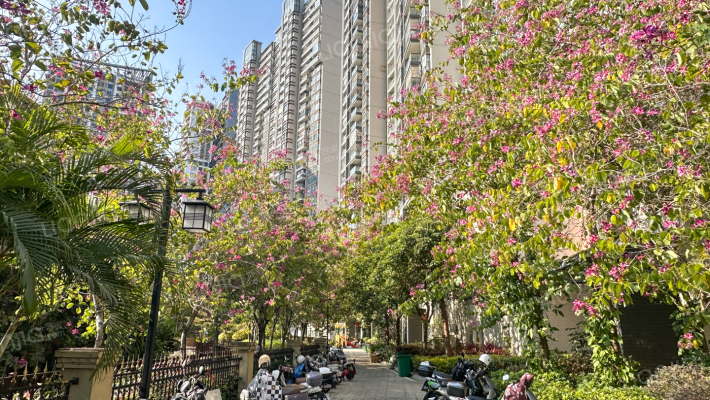 现代城熙珑墅外景图