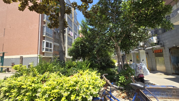 厦门华苑外景图