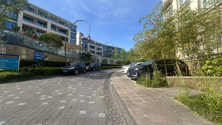 新湖金色池塘外景图