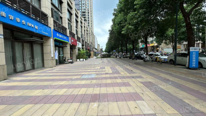 万科金域名邸一期外景图