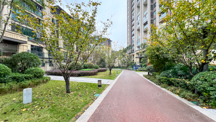 新鸥鹏拉菲公馆D区外景图