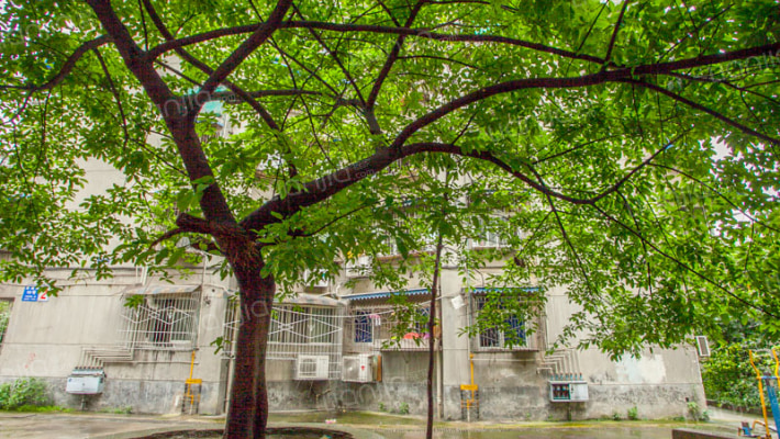 营和街66号外景图