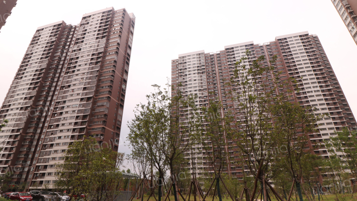 珍珠雅苑外景图