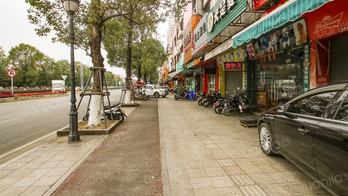 供销新村A区外景图