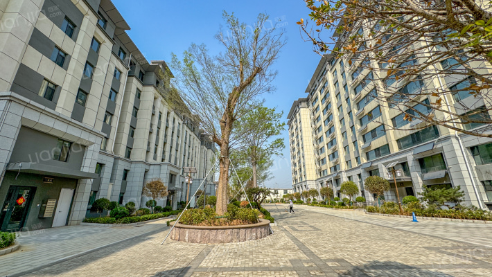 圣源国郡外景图