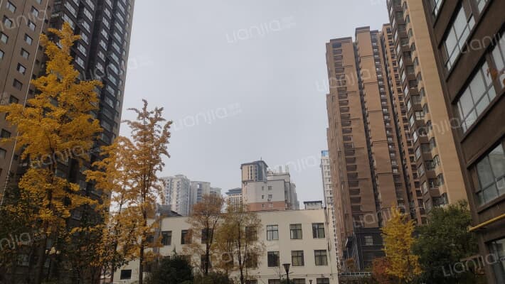 安盛花苑外景图