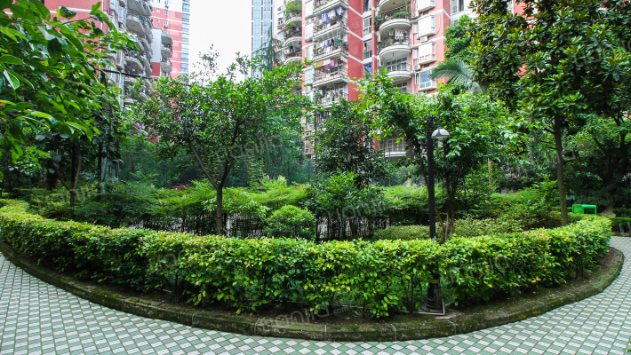 青青佳苑北苑外景图