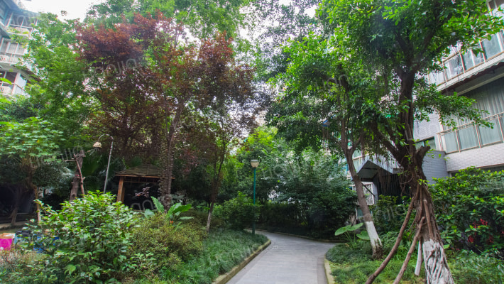 双楠风景二期外景图