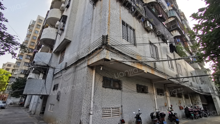 土产棉麻公司宿舍外景图